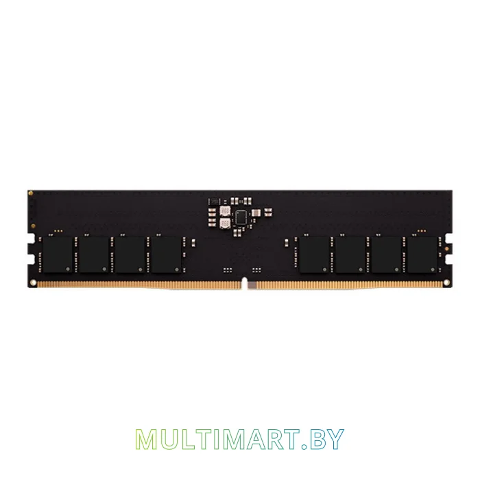 Оперативная память AMD Radeon R5 32GB DDR5 PC5-41600 (R5532G5200U2S-U)